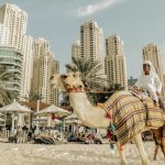 JBR Residence | Best ROI