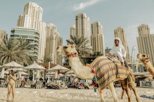 JBR Residence | Best ROI