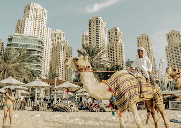 JBR Residence | Best ROI